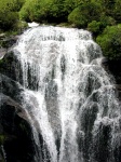 Milford Track - Arthur Valley Waterfalls