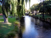 Christchurch Scenes - Avon River