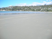 Nelson  - Tahunanui Beach