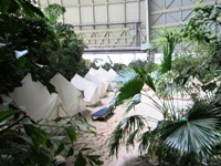 Tropical Island - Camping Area