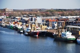 IJmuiden Port