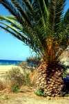 South Crete Scenes