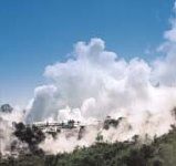 Rotorua - Hot Geysers