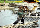 Guilin:  River Li