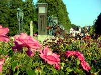 Vigeland Park - Flower Scenes