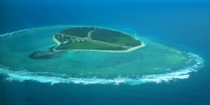 Great Barrier Reef - Lady Elliot Island