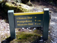 Milford Track - To Clinton Hut