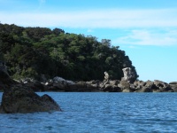 Abel Tasman National Park -  Fishermans Island