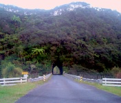"Forgotten Highway" Tunnel