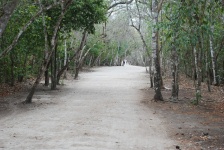 Cobá - 3 KM of Trail