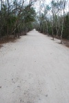 Cobá - 3 KM of Trail
