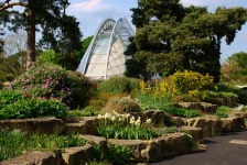 Royal Botanical Gardens (Kew Gardens) 