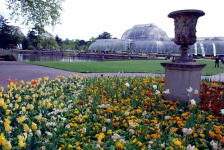 Royal Botanical Gardens (Kew Gardens) 
