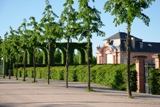 Schloss Schwetzingen Gardens