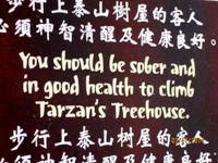 Hong Kong Disneyland - Tarzan Tree