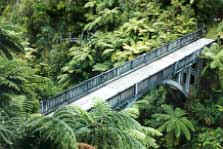 Whanganui National Park - Bridge to Nowhere Hike