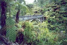 Whanganui National Park - Bridge to Nowhere History