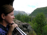 Norway Scenes - Open Train Window